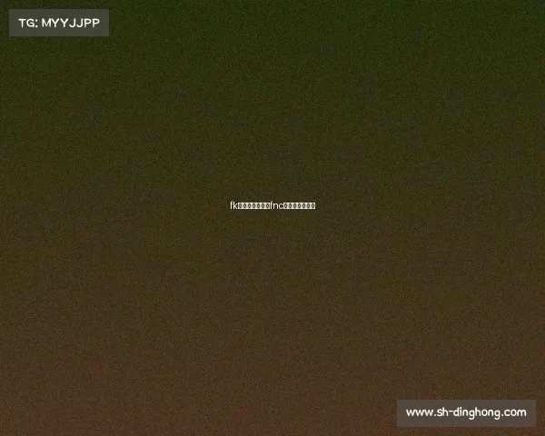 fk电子竞技俱乐部fnc电子竞技俱乐部